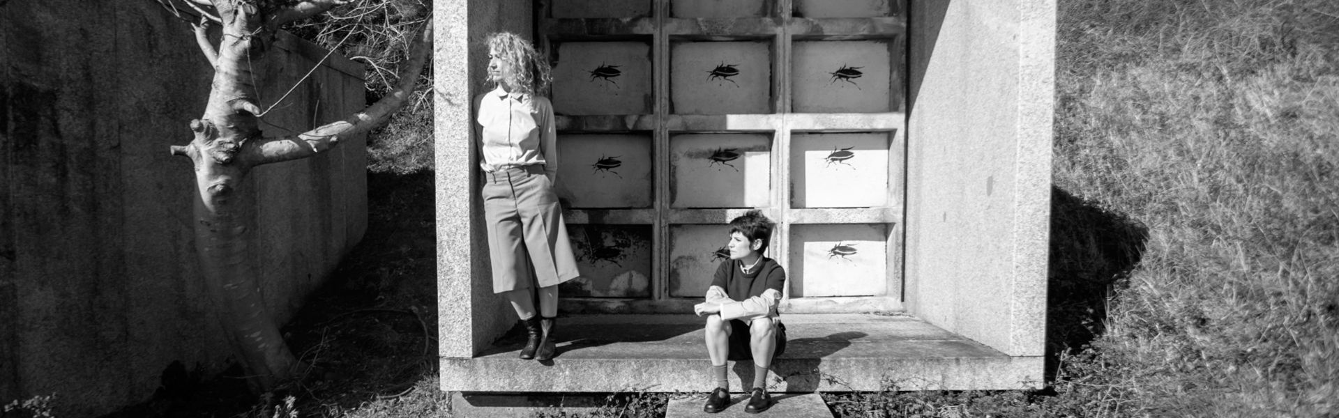 Mientras el meteorito llega